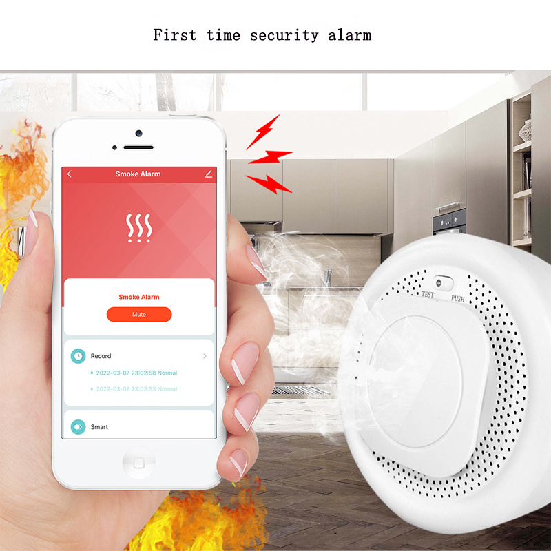 Detector de Fogo para Cozinha, - Zigbee Smoke Sensor Tuya avaliação e preço