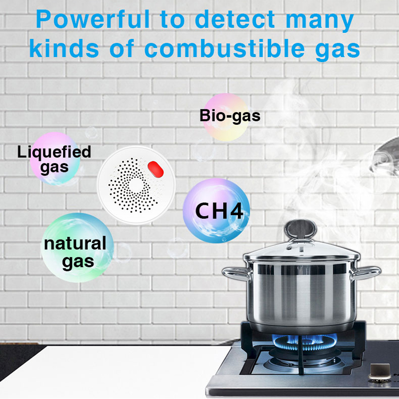 Sensor de Gás Natural Tuya Sma - Smart Gas Leak Detector Lpg avaliação e preço