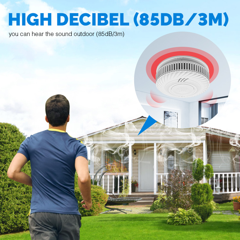 Detector de fumaça autônomo co - Smoke Alarm 10 Year Battery avaliação e preço