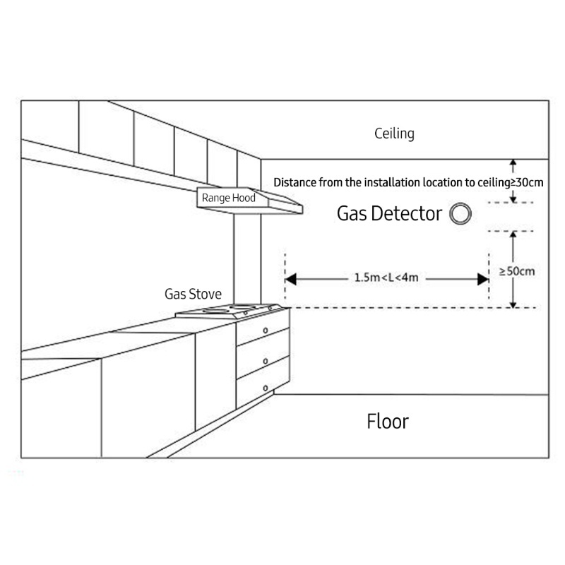 Detector de Vazamento de Gás W - Smart Gas Leak Detector Lpg avaliação e preço